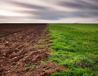 В Євросоюзі 7% земель відведено під органічне сільське господарство